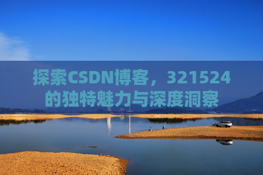 探索CSDN博客，321524的独特魅力与深度洞察